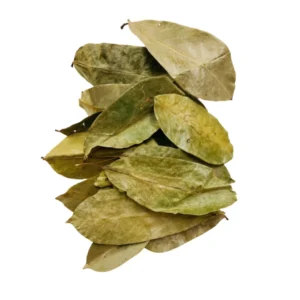 Soursop leaves