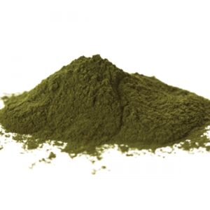 Kelp powder